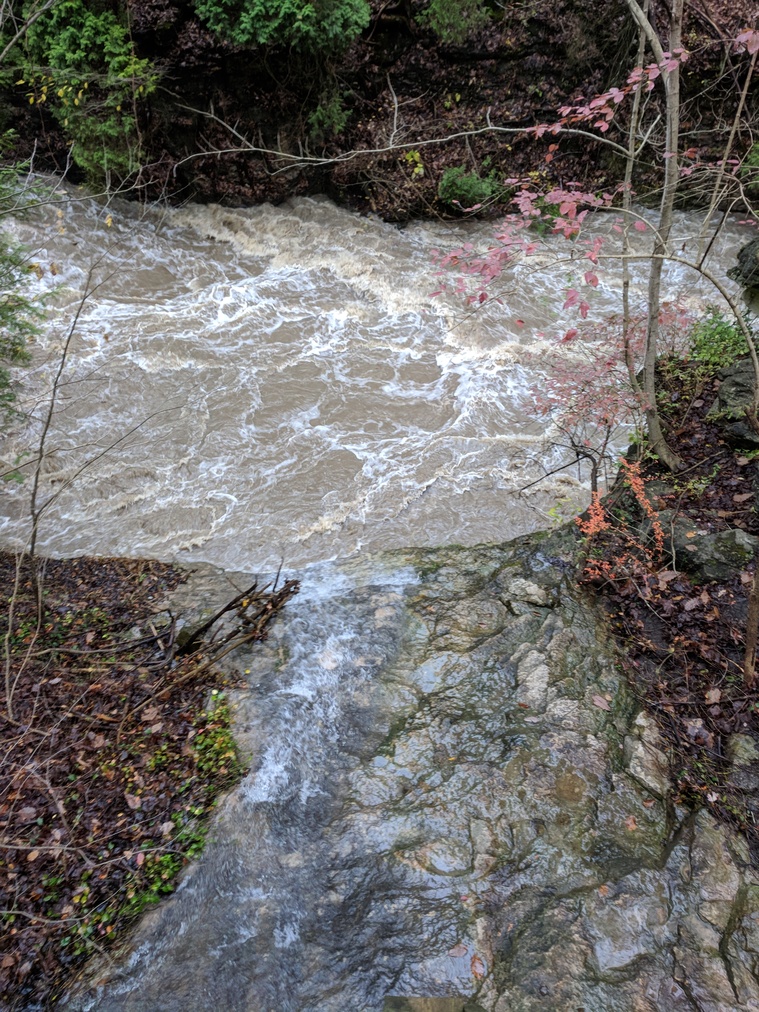 Flooded River