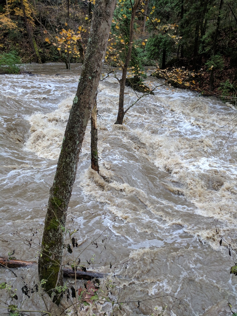 Flooded River