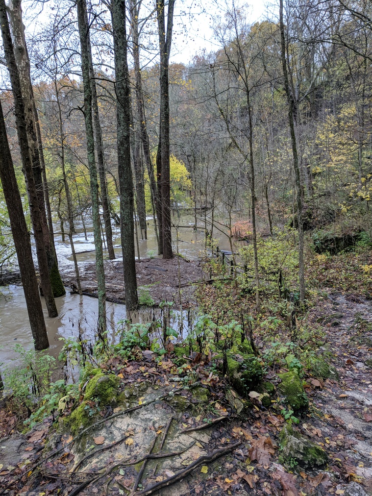 Flooded River