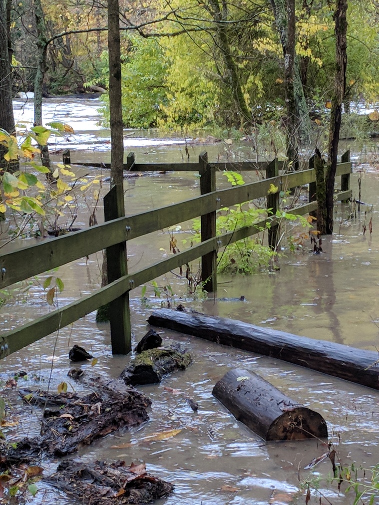 Flooded River