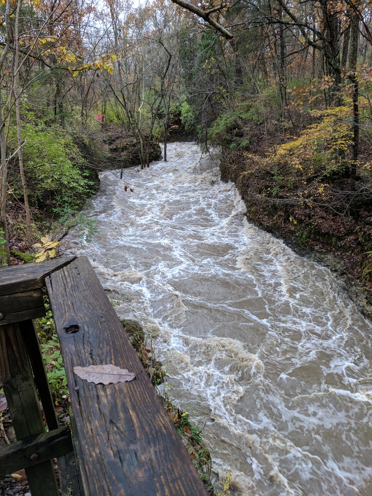 Flooded River