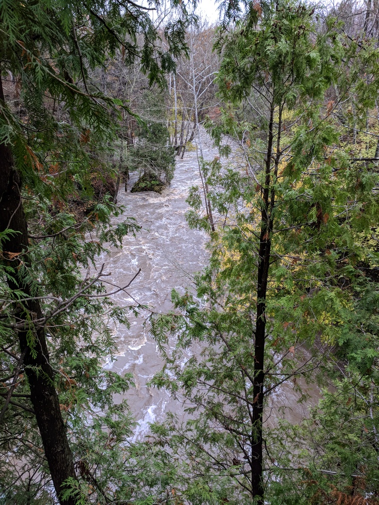 Flooded River