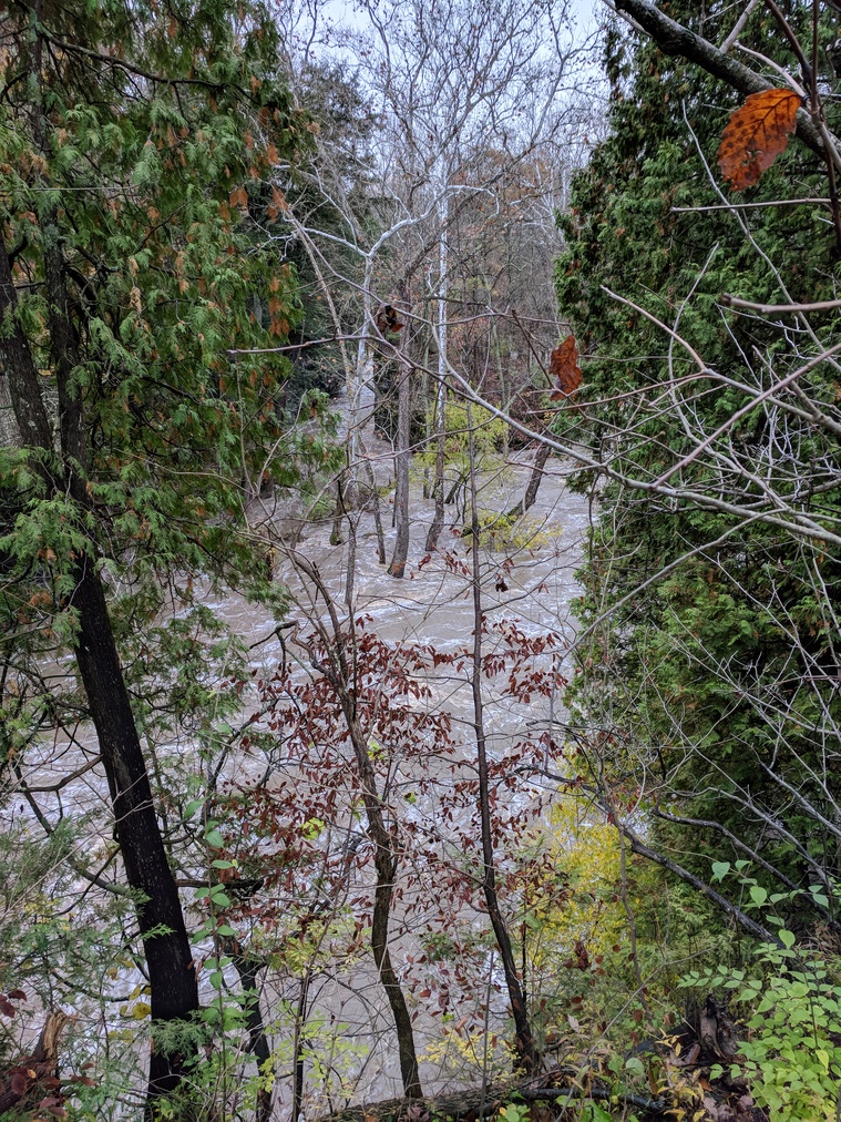 Flooded River