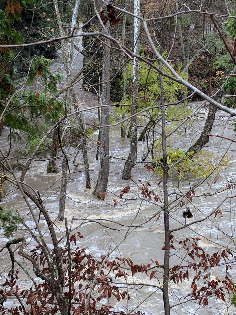 Flooded River