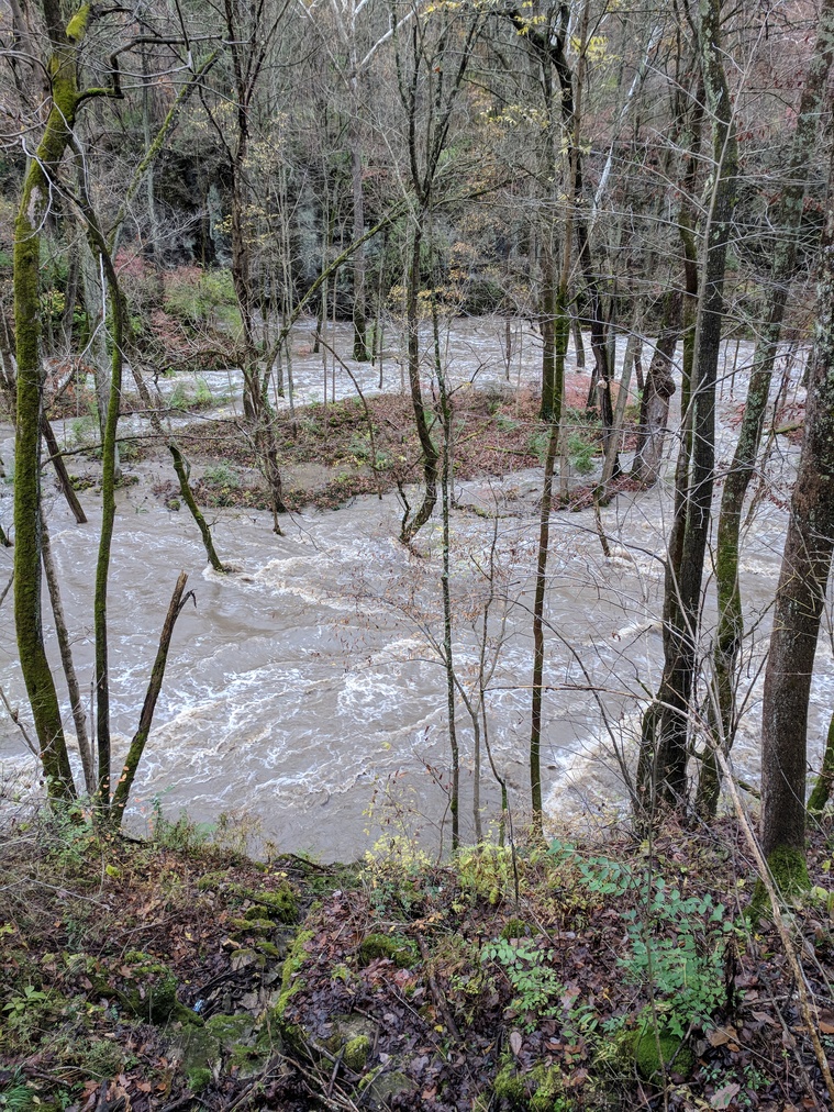 Flooded River