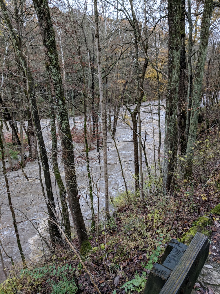 Flooded River