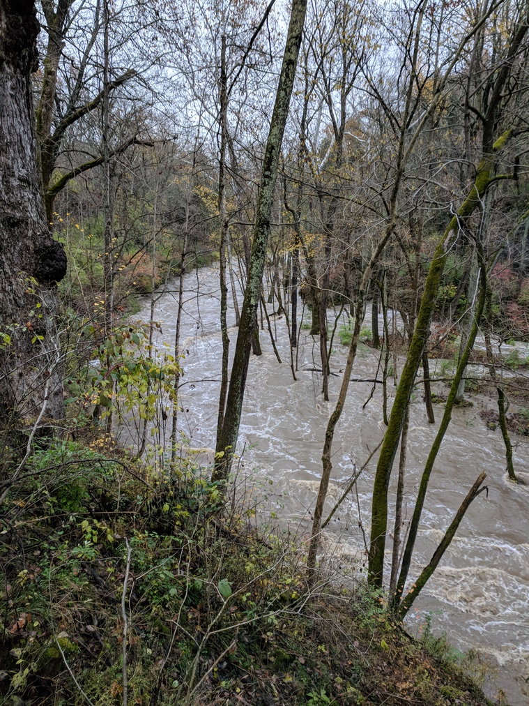 Flooded River