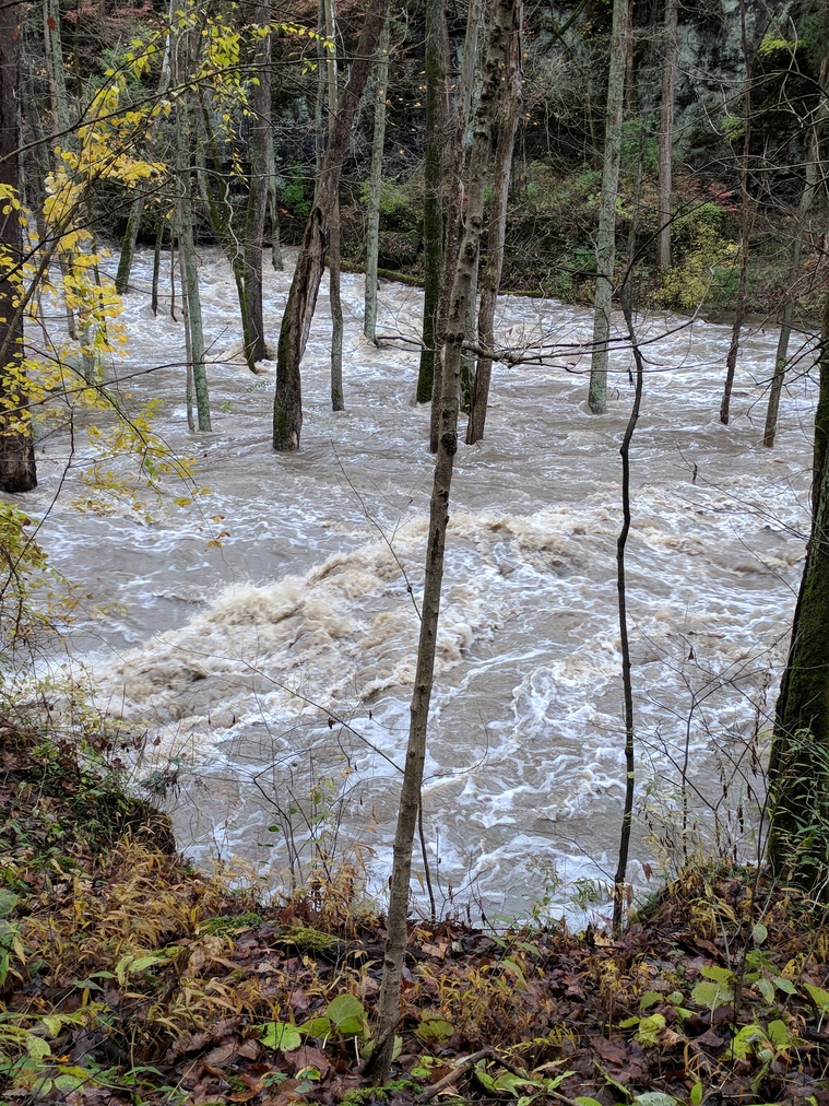 Flooded River